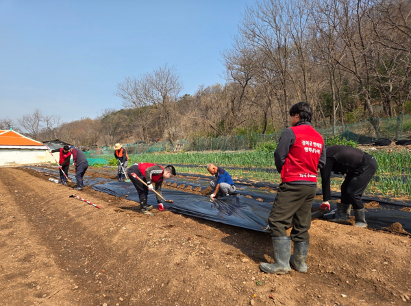 경복궁 면세점 직원들“밭정리 활동에 구슬땀 흘려”